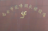 南安市洪瀨龍峰園農場